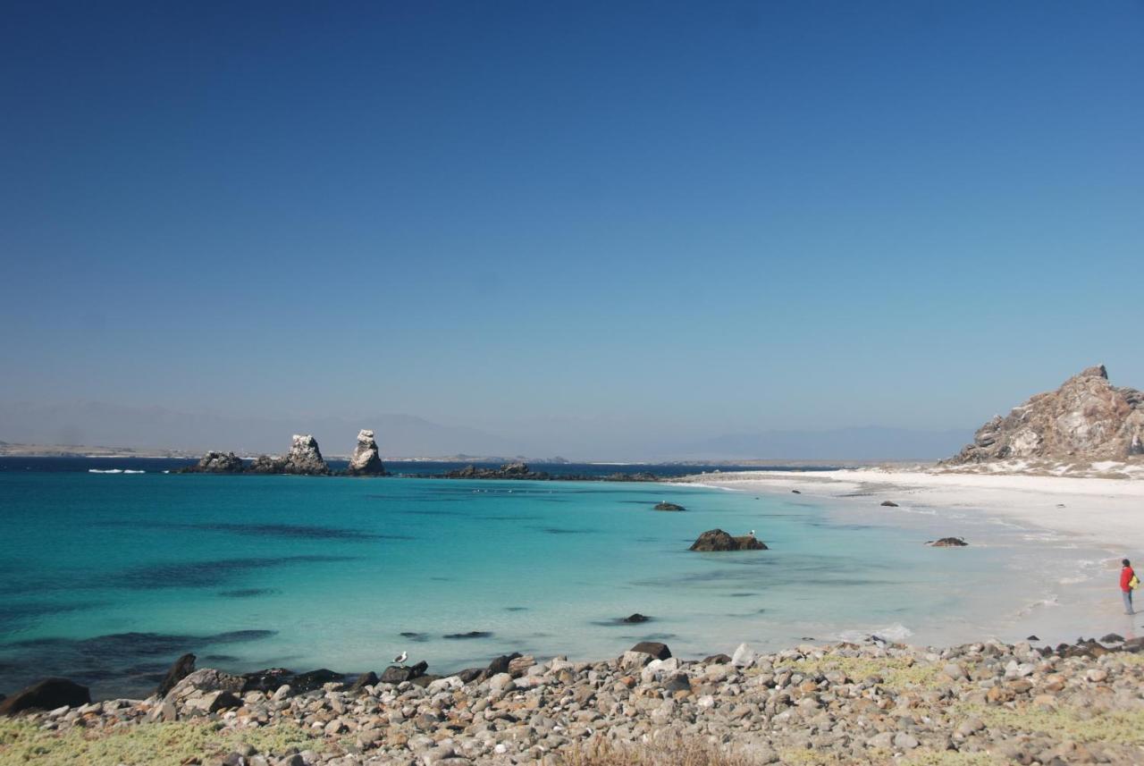 Cabanas Las Hualas Punta de Choros Luaran gambar