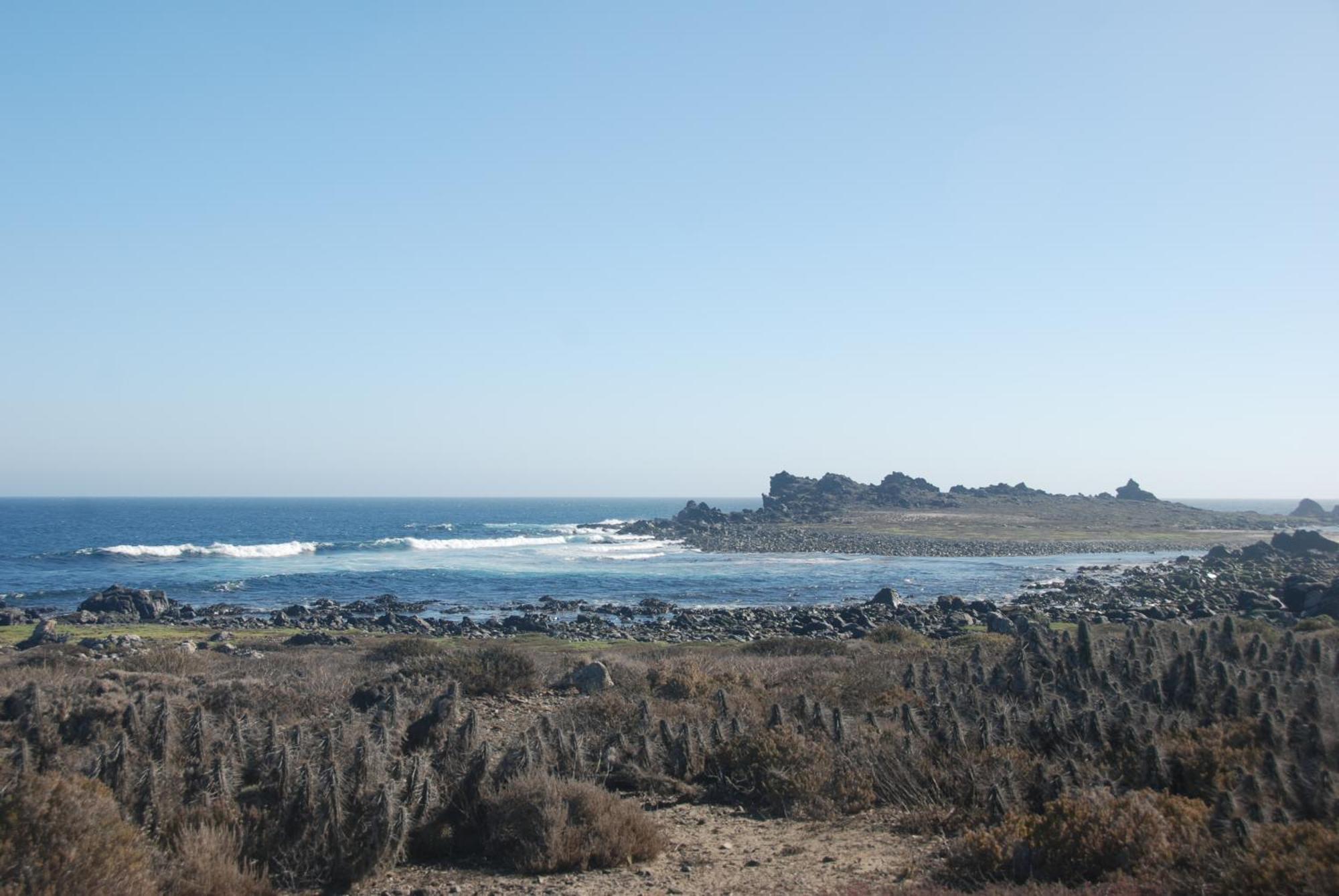 Cabanas Las Hualas Punta de Choros Luaran gambar